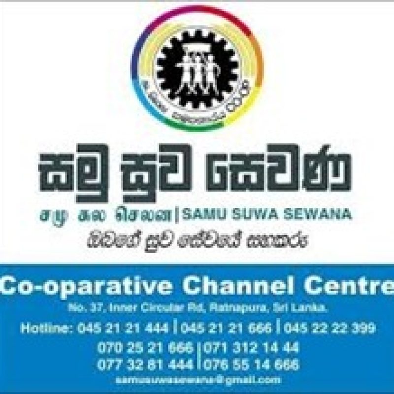 WhatsApp Image 2025-02-12 at 7.17.15 PM